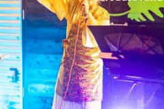 71f91a0d7ae15003cb2662c1460958d7