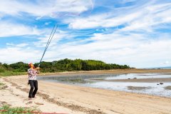 8680c908a5dd14a90cc8ff662894073f